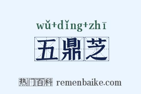 五鼎芝是什么意思的图片